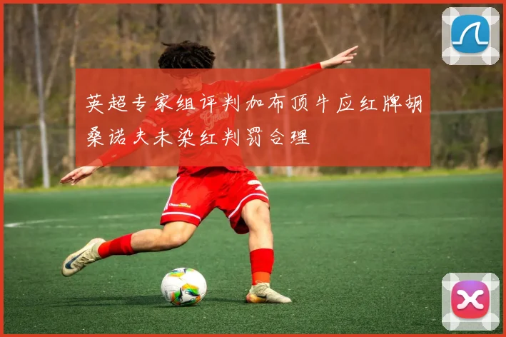 英超专家组评判加布顶牛应红牌胡桑诺夫未染红判罚合理