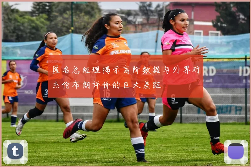 匿名总经理揭示高阶数据与外界对杰伦布朗评价的巨大差距
