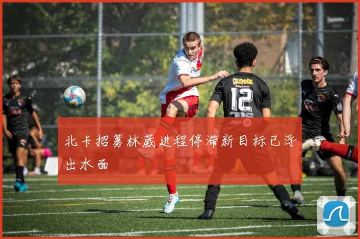 北卡招募林葳进程停滞新目标已浮出水面